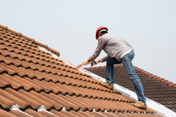 Best Roof Maintenance and Cleaning  in St James, NC