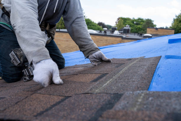 Best Roof Moss and Algae Removal  in St James, NC